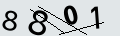 verifycode